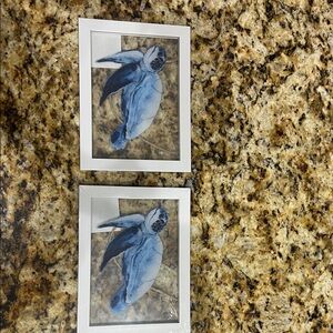 Blue Sea Turtle Art Prints